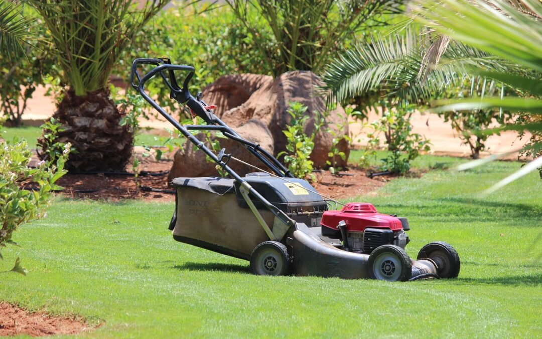 Choisir la Tondeuse à Gazon Parfaite pour un Jardin Impeccable